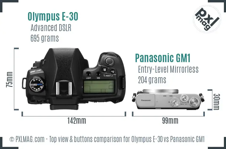 Olympus E-30 vs Panasonic GM1 top view buttons comparison