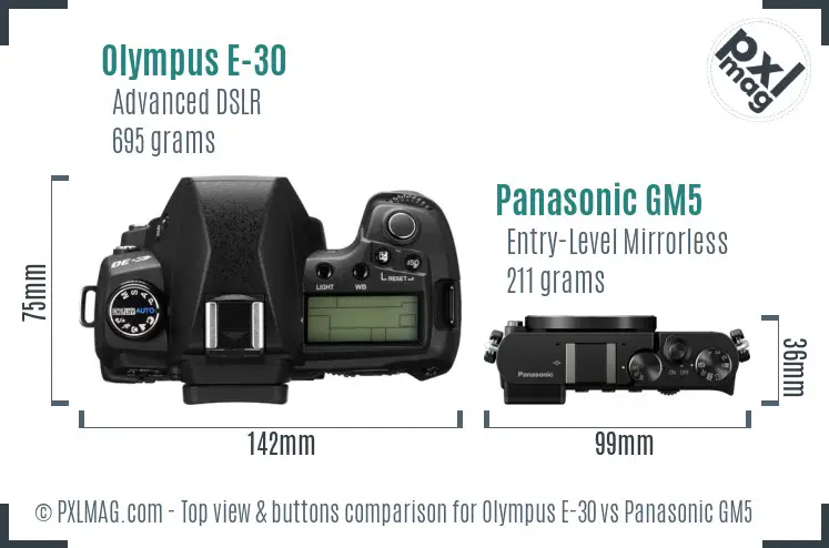 Olympus E-30 vs Panasonic GM5 top view buttons comparison