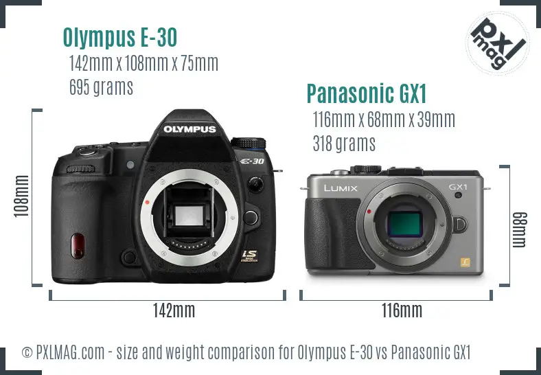 Olympus E-30 vs Panasonic GX1 size comparison