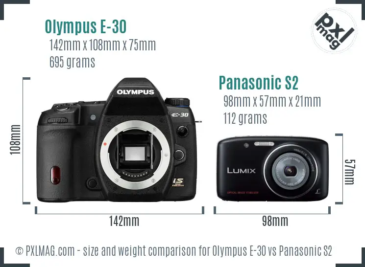 Olympus E-30 vs Panasonic S2 size comparison