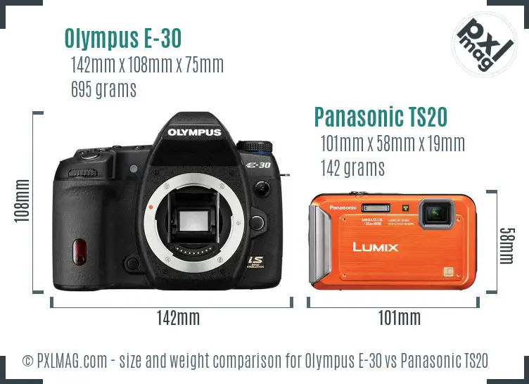 Olympus E-30 vs Panasonic TS20 size comparison