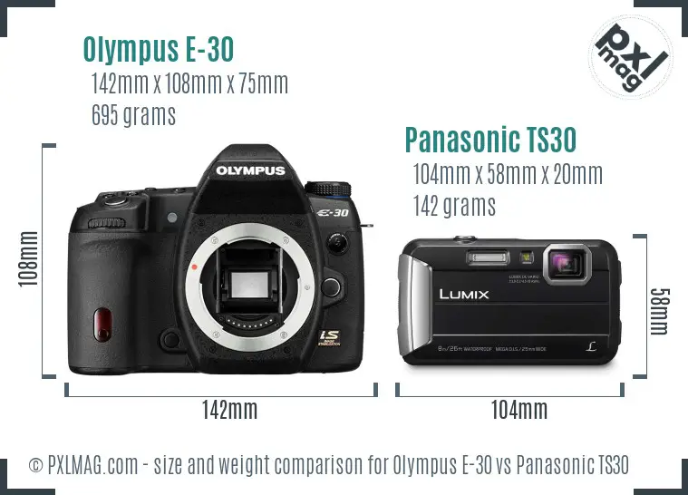 Olympus E-30 vs Panasonic TS30 size comparison