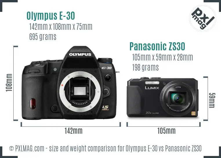 Olympus E-30 vs Panasonic ZS30 size comparison