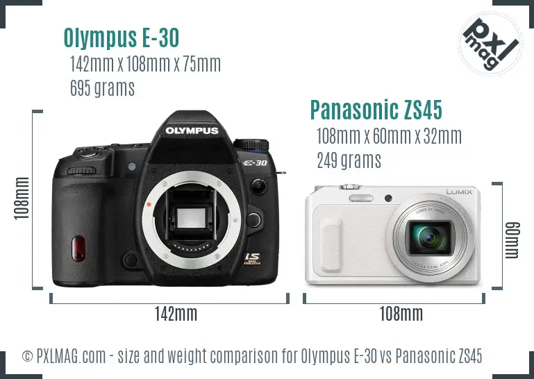 Olympus E-30 vs Panasonic ZS45 size comparison
