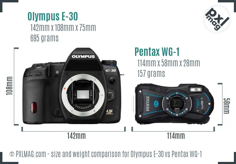 Olympus E-30 vs Pentax WG-1 size comparison