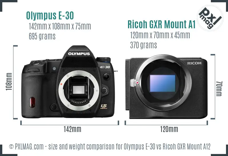Olympus E-30 vs Ricoh GXR Mount A12 size comparison