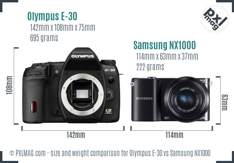 Olympus E-30 vs Samsung NX1000 size comparison