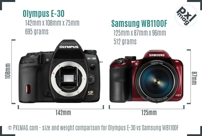 Olympus E-30 vs Samsung WB1100F size comparison