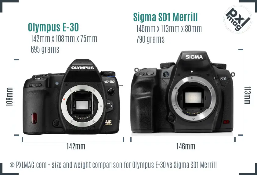 Olympus E-30 vs Sigma SD1 Merrill size comparison