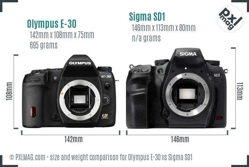 Olympus E-30 vs Sigma SD1 size comparison