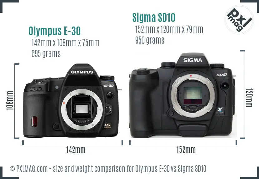 Olympus E-30 vs Sigma SD10 size comparison