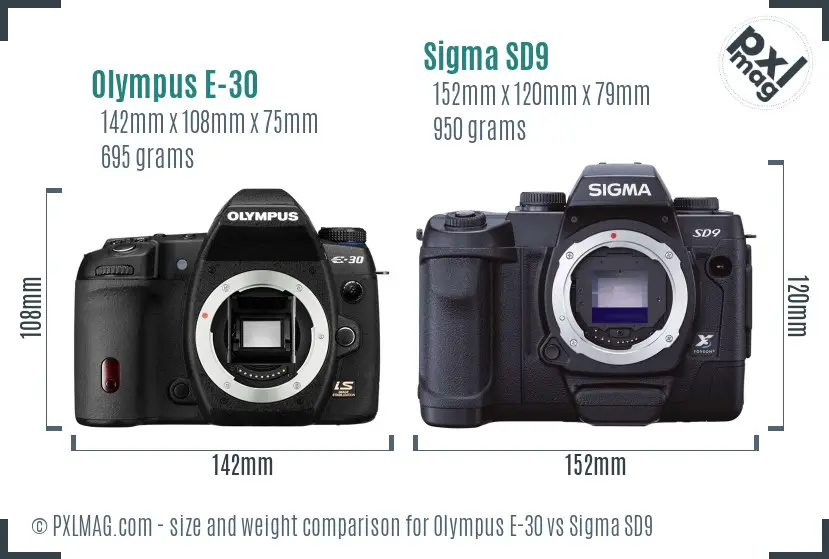 Olympus E-30 vs Sigma SD9 size comparison