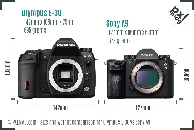 Olympus E-30 vs Sony A9 size comparison