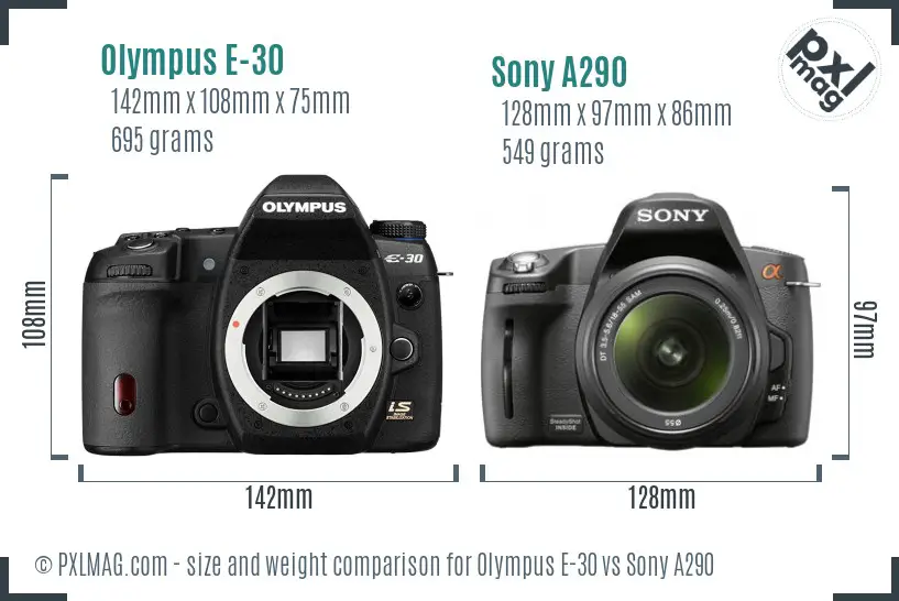 Olympus E-30 vs Sony A290 size comparison