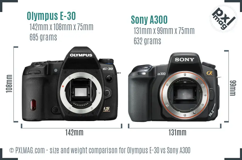 Olympus E-30 vs Sony A300 size comparison