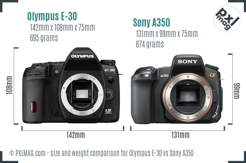 Olympus E-30 vs Sony A350 size comparison