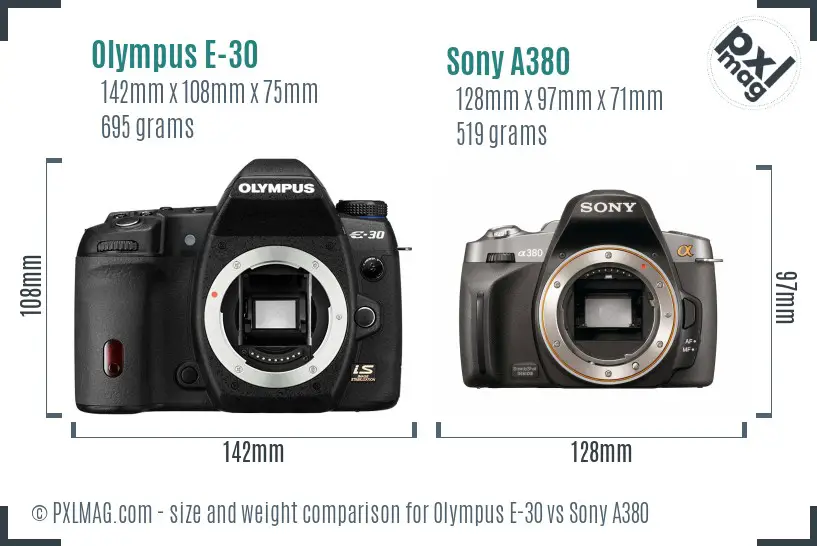 Olympus E-30 vs Sony A380 size comparison