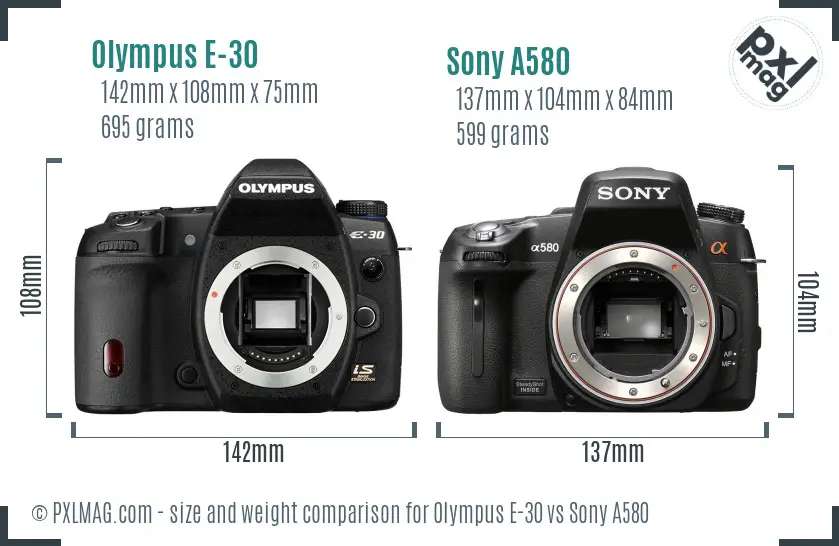 Olympus E-30 vs Sony A580 size comparison