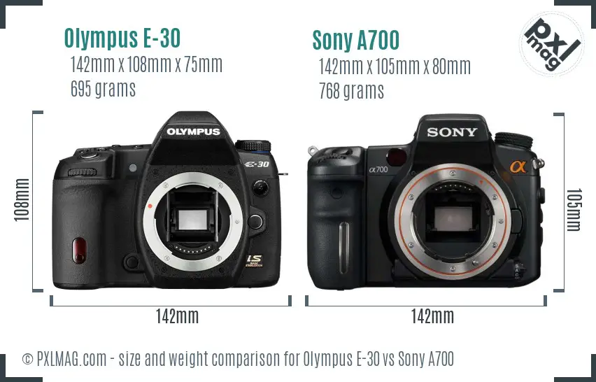 Olympus E-30 vs Sony A700 size comparison