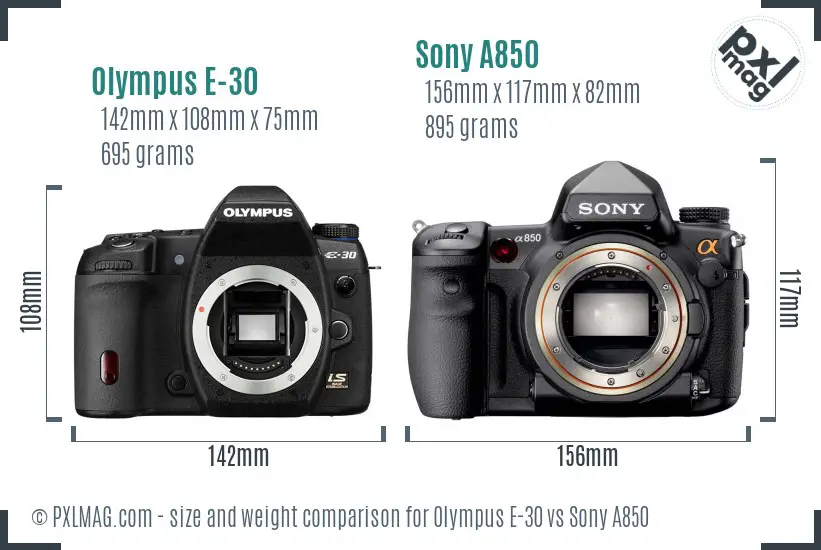 Olympus E-30 vs Sony A850 size comparison