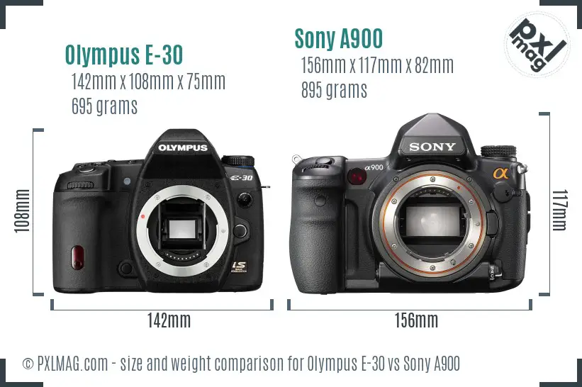 Olympus E-30 vs Sony A900 size comparison