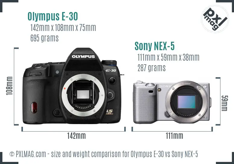 Olympus E-30 vs Sony NEX-5 size comparison