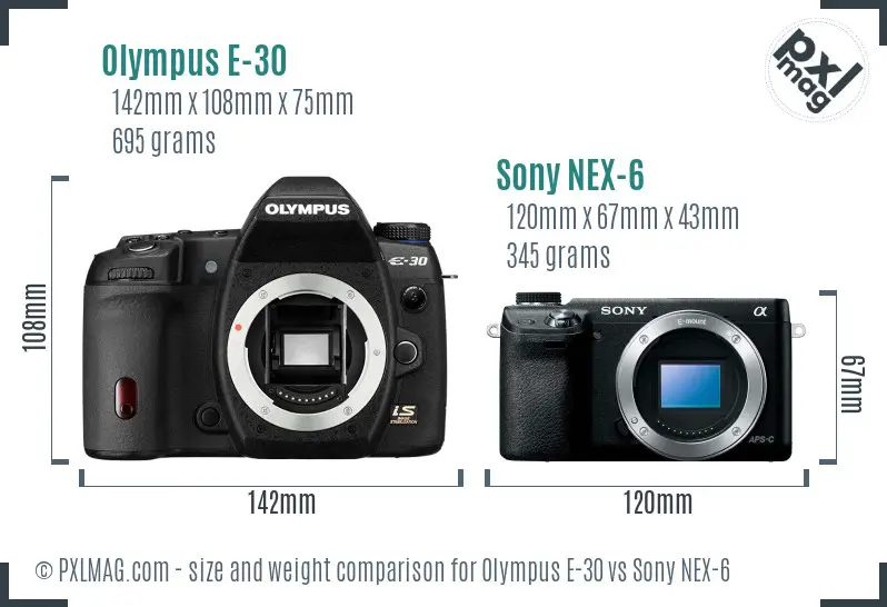 Olympus E-30 vs Sony NEX-6 size comparison