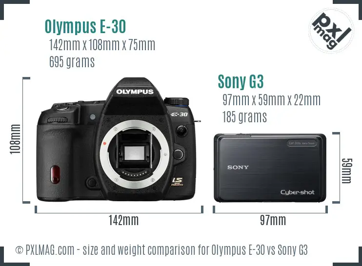 Olympus E-30 vs Sony G3 size comparison