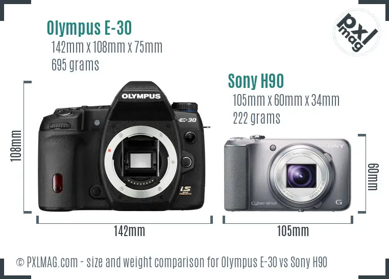 Olympus E-30 vs Sony H90 size comparison