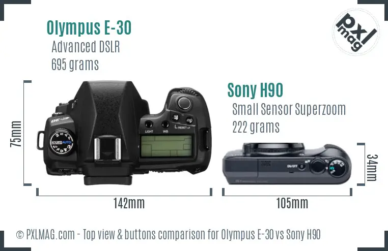 Olympus E-30 vs Sony H90 top view buttons comparison