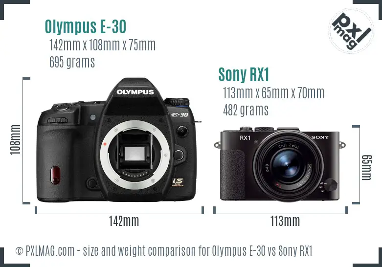 Olympus E-30 vs Sony RX1 size comparison