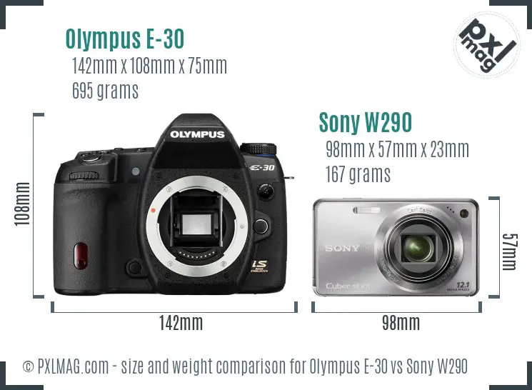 Olympus E-30 vs Sony W290 size comparison