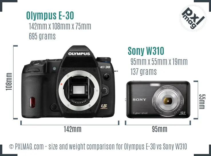 Olympus E-30 vs Sony W310 size comparison