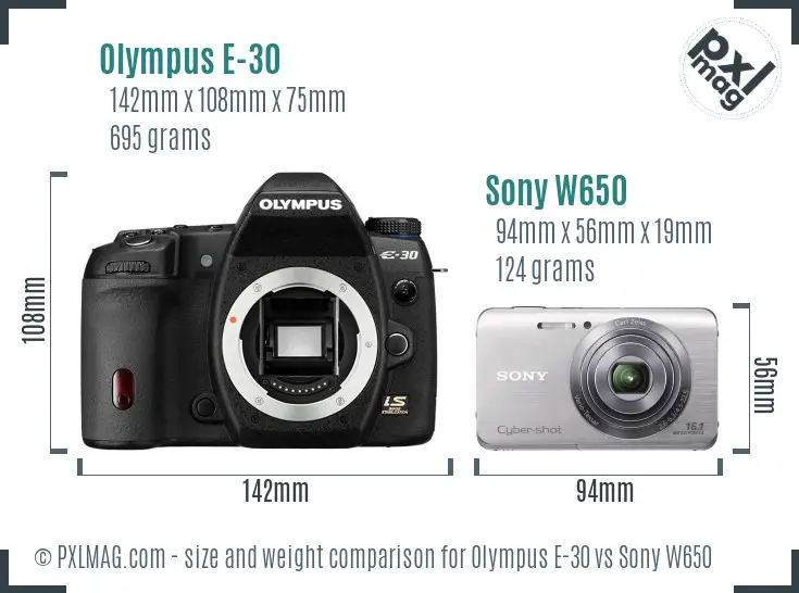 Olympus E-30 vs Sony W650 size comparison