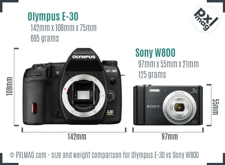 Olympus E-30 vs Sony W800 size comparison