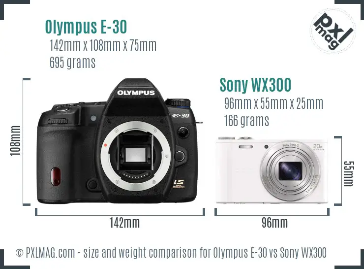 Olympus E-30 vs Sony WX300 size comparison