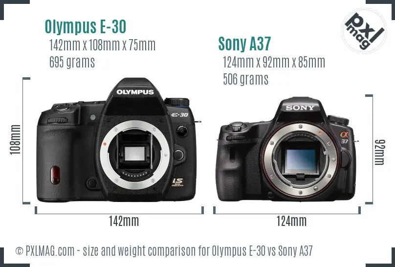 Olympus E-30 vs Sony A37 size comparison