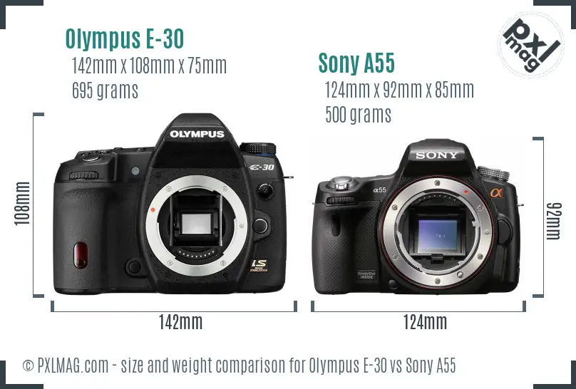 Olympus E-30 vs Sony A55 size comparison