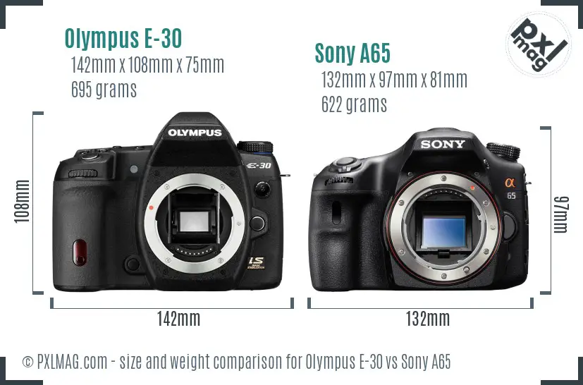 Olympus E-30 vs Sony A65 size comparison