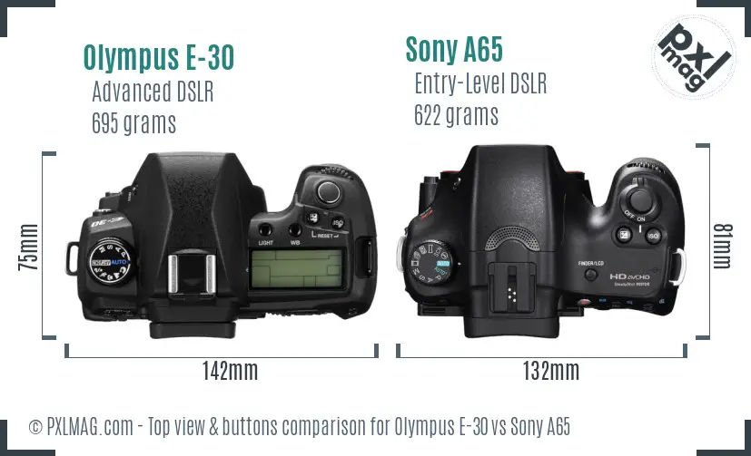 Olympus E-30 vs Sony A65 top view buttons comparison