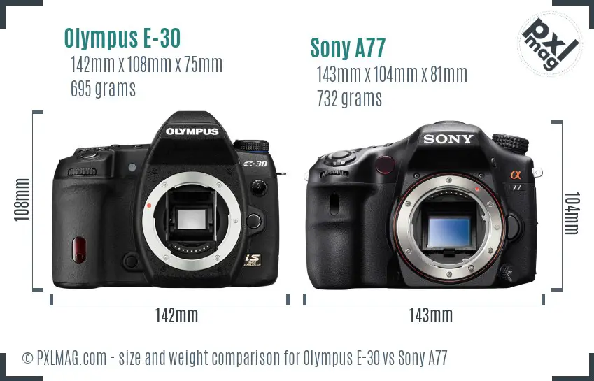 Olympus E-30 vs Sony A77 size comparison