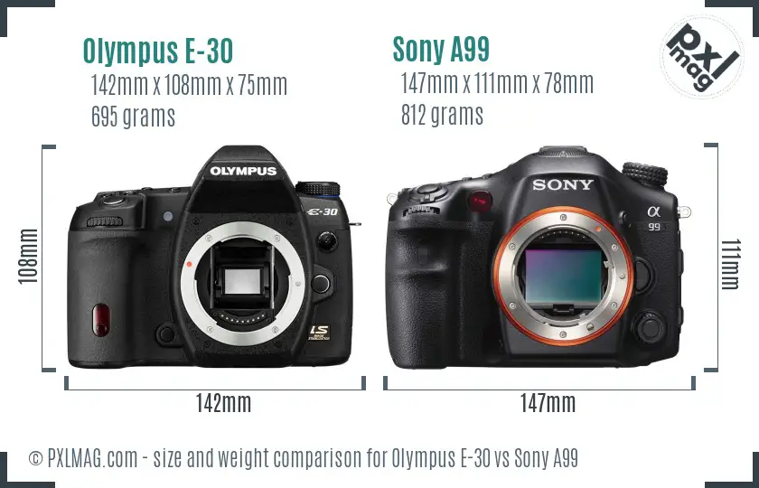 Olympus E-30 vs Sony A99 size comparison