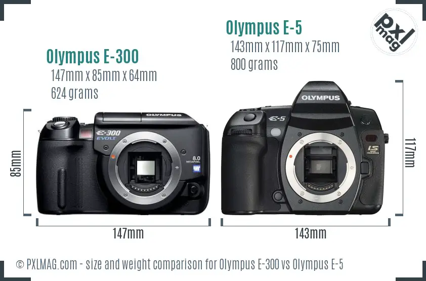 Olympus E-300 vs Olympus E-5 size comparison