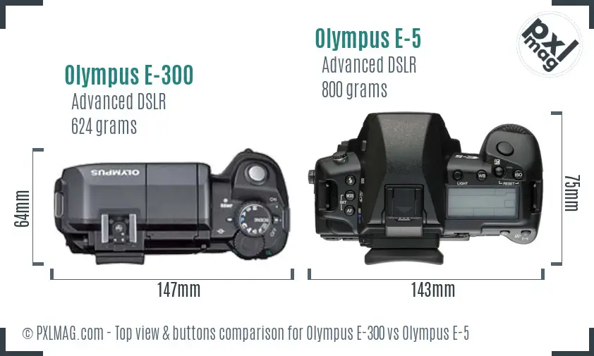 Olympus E-300 vs Olympus E-5 top view buttons comparison