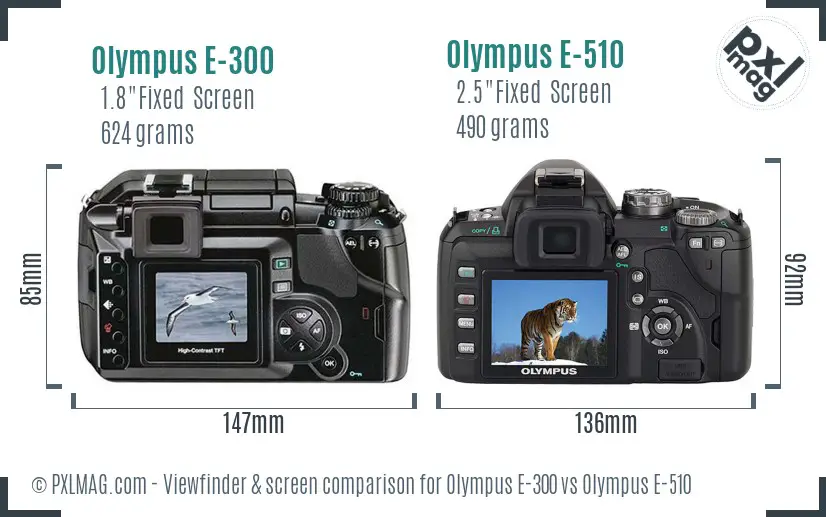 Olympus E-300 vs Olympus E-510 Screen and Viewfinder comparison