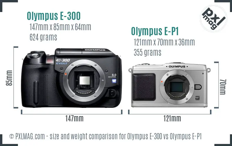 Olympus E-300 vs Olympus E-P1 size comparison