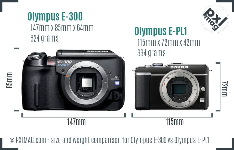 Olympus E-300 vs Olympus E-PL1 size comparison