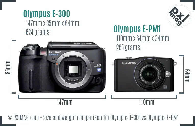Olympus E-300 vs Olympus E-PM1 size comparison