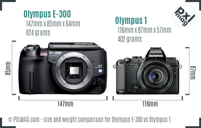 Olympus E-300 vs Olympus 1 size comparison