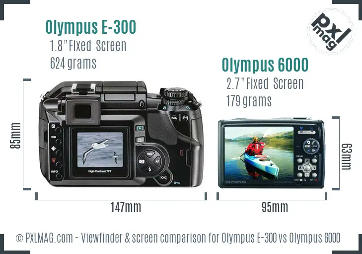 Olympus E-300 vs Olympus 6000 Screen and Viewfinder comparison